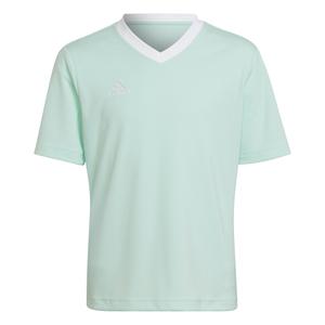 hc5078-camiseta-para-ni-os-adidas-entrada-22-verde-turquesa