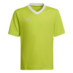 hc5079-camiseta-para-ni-os-adidas-entrada-22-amarillo