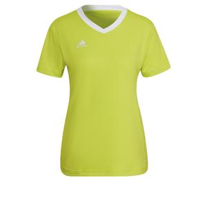 hc5080-damestrui-adidas-entrada-22-geel