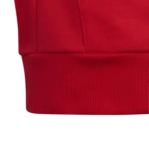 Sudadera con capucha para niños adidas Colorblock Fleece image-5