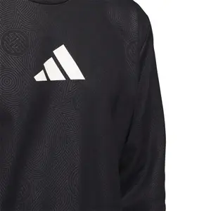 Sweatshirt adidas Harden Foundation Crew image-5