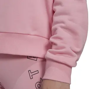 Dames sweatshirt met capuchon adidas Essentials Outlined Logo image-6