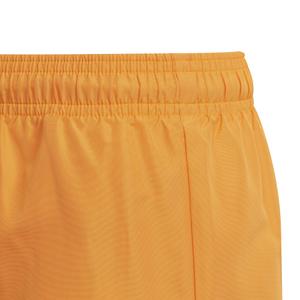 Pantalón corto infantil adidas Classic Badge Of Sport image-6