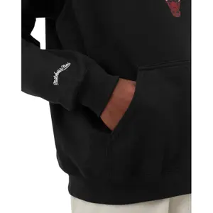 Arch hoodie Chicago Bulls 2021/22 image-3