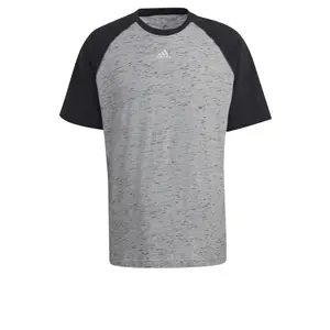 Camiseta adidas Essentials Raglan image-0