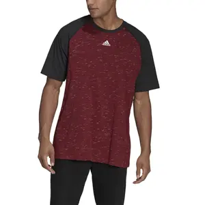Camiseta adidas Raglan Essentials image-4