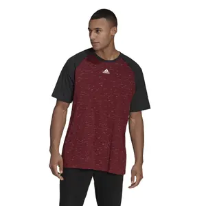 Camiseta adidas Raglan Essentials image-2