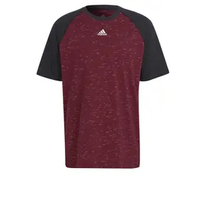 Camiseta adidas Raglan Essentials image-0
