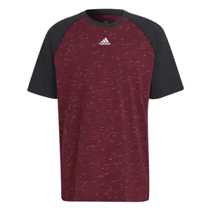 Camiseta adidas Raglan Essentials image-1