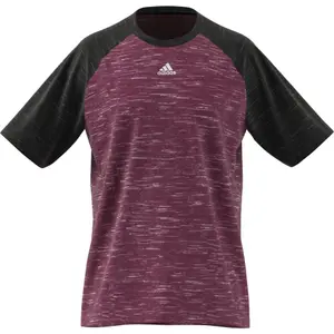 Camiseta adidas Raglan Essentials image-5