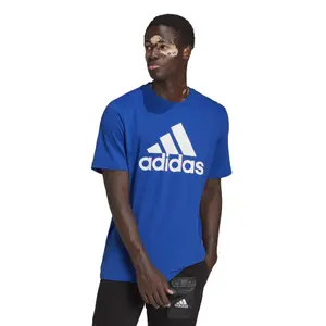 Camiseta adidas Essentials Big Logo image-1