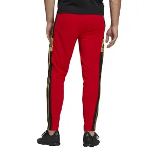 Pantalon de survêtement adidas Salah Squadra Training image-2