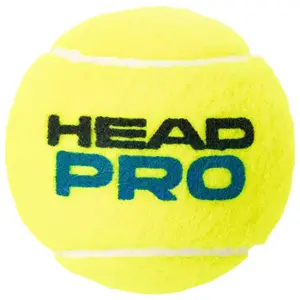 Tube mit 4 Tennisbällen Head Pro image-2