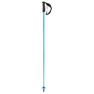 381174-ski-poles-head-worldcup-sl-blue