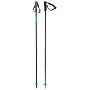 381803-ski-poles-head-multi-speed-blue