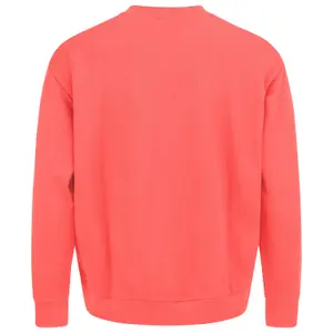 Saltador de pescoço redondo Head Motion image-1