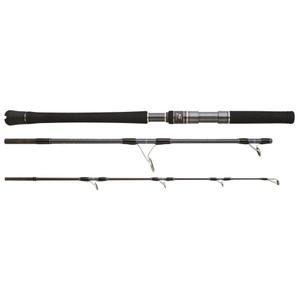 Caña de barco Hearty Rise Skywalker Jigging 220g