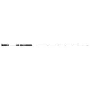 Canne spinning Hearty Rise Skywalker Norway Jigging 100-300g image-1