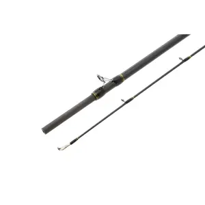 Spinnrute Hearty Rise Valley Hunter 10-80 g image-2