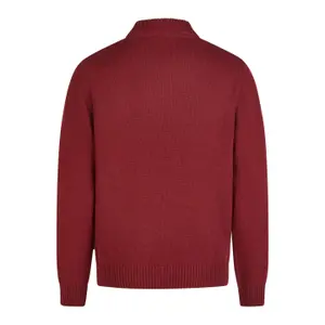 Knit polo neck Hechter image-1