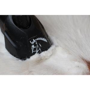 Electric mower Heiniger Progress image-5