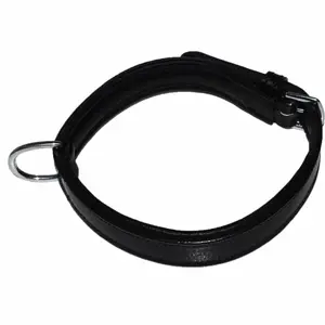 co-bo-no-hundhalsband-hekktor-bor-svart