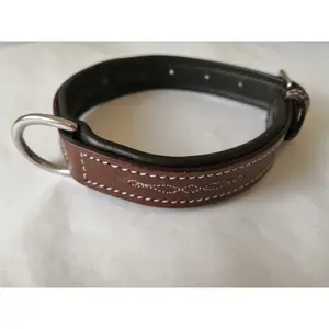 co-od-ma-hundhalsband-hekktor-odin-malt