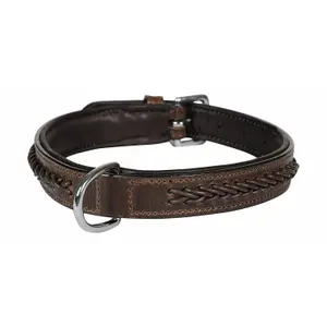 co-tho-ma-hundhalsband-hekktor-thor-malt