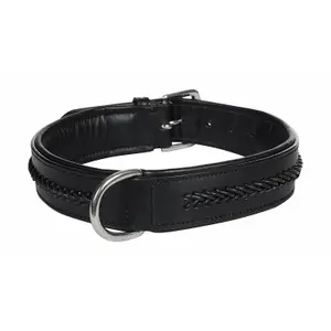 co-tho-no-hundhalsband-hekktor-thor-svart