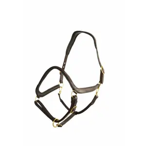 li-an-ma-halfter-hekktor-anubis-malz