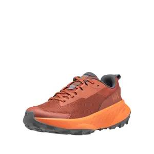 Hiking shoes Helly Hansen Awe DWR image-2