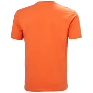 T-shirt Helly Hansen Massif Graphic image-2