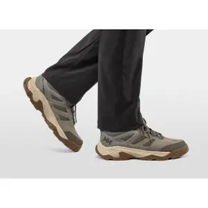 Vandringsskor Helly Hansen Switchback 3 HT image-1