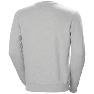 Sudadera Helly Hansen PS image-1