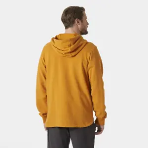 Hoodie Helly Hansen Arctic Ocean 2.0 image-3