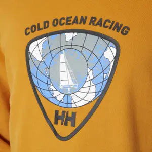 Hoodie Helly Hansen Arctic Ocean 2.0 image-4
