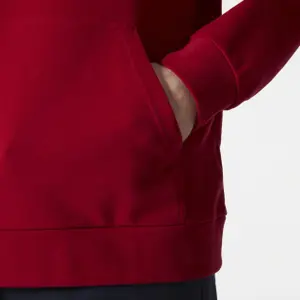 Felpa con cappuccio Helly Hansen HH Logo 2.0 image-4