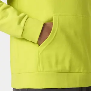 Hoodie Helly Hansen HH Logo 2.0 image-4