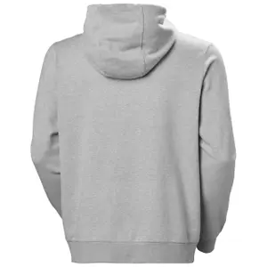 Felpa con cappuccio Helly Hansen HH Logo 2.0 image-2