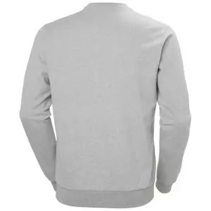 Helly Hansen HH Logo 2.0 Sweatshirt image-2