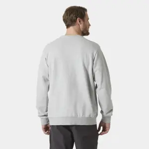 Helly Hansen HH Logo 2.0 Sweatshirt image-3