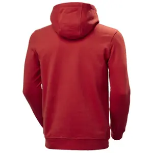Sweatshirt med hætte Helly Hansen Logo image-1