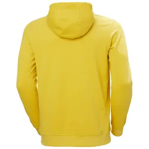 Sweatshirt med hætte og logo Helly Hansen image-1