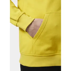 Sweatshirt med hætte og logo Helly Hansen image-3