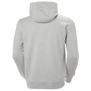 Sweatshirt med hætte Helly Hansen Logo image-1