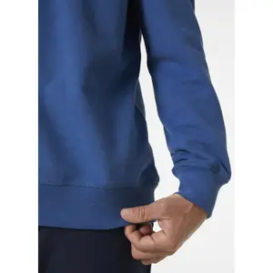 Sweatshirt à capuche Helly Hansen Logo Crew image-5