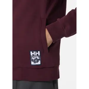 Sweatshirt med hætte og lynlås Helly Hansen Arctic Ocean image-3