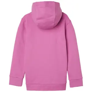 Camisola com capuz para criança Helly Hansen Graphic image-1