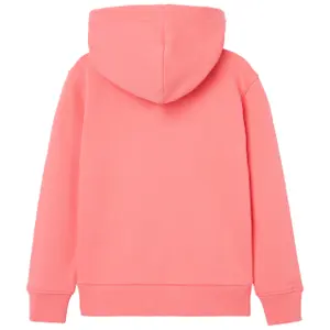 Παιδικό φούτερ με κουκούλα Helly Hansen Logo image-4
