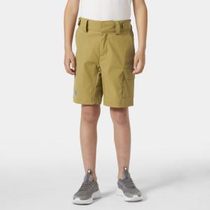 41592-787-cargo-shorts-voor-kinderen-helly-hansen-qd-lynx